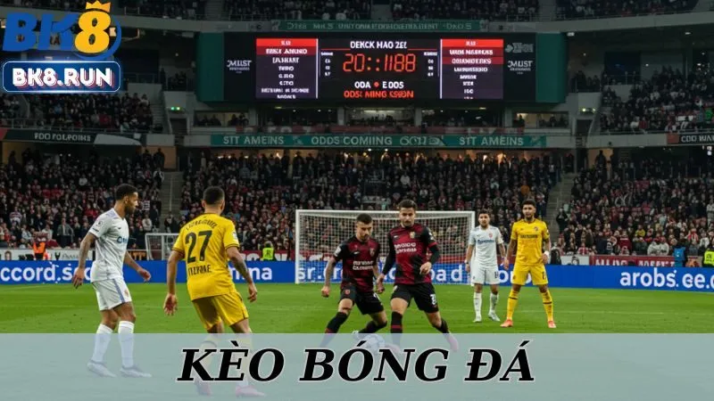 2 Kèo Bóng Đá Phù Hợp Cho Tân Thủ Tại BK8